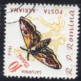 [Butterflies & Moths, Tipi BTG]