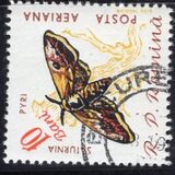 [Butterflies & Moths, Tipi BTG]
