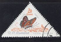 [Butterflies & Moths, Tipi BTH]