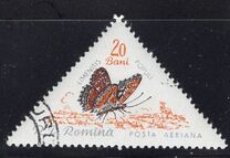 [Butterflies & Moths, Tipi BTH]