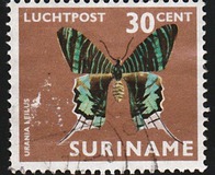 [Airmail - Moths and Butterflies, タイプ ADD]