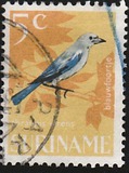 [Birds, Tipi WG]