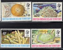 [Corals, type AD]