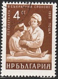 [Five Years Plan (Petoletka), タイプ AMM]