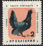 [Nature Conservation - Birds, type ALV]