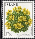 [Flowers, type OM]