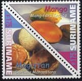 [Flora - Fruits, Tipi BSF]