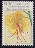 [Flower Drawings by Maria Sibylle Merian, type AOI]