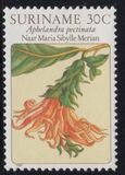 [Flower Drawings by Maria Sibylle Merian, type AOH]