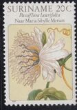 [Flower Drawings by Maria Sibylle Merian, type AOG]