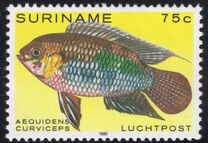 [Airmail - Tropical Fish, type ANT]