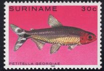 [Tropical Fish, Tüüp ANQ]