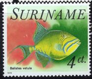 [Fish, Tipo AGR]