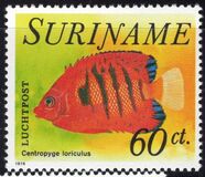 [Fish, Tipo AGU]