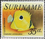 [Fish, Tipo AGT]