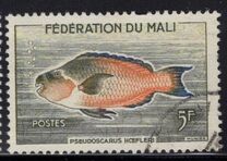 [Fish, type F]