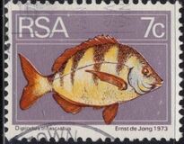 [Flora and Fauna, type NM]