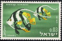 [Red Sea Fish, Tip IK]