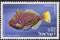 [Red Sea Fish, type JJ]