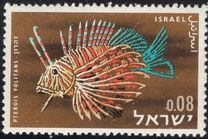[Red Sea Fish, Tip IM]