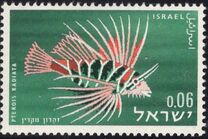[Red Sea Fish, type JK]