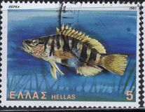 [Fauna - Nature Protection, प्रकार ALT]