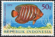 [Fish, type ABF]