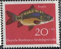 [Für die Jugend, Typ IF]