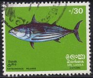 [Fish, type F]