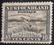 [Newfoundland Issue, type DU1]