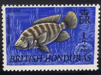 [Wildlife - Fish, tegund DT]