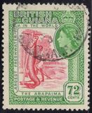 [Local Motives, type CE]