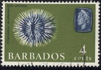 [Marine Life, タイプ DS]