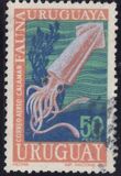 [Airmail - Uruguayan Marine Fauna, Вид UK]