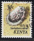 [Seashells, type AN]
