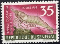[Crostacei marini - Tipografia: Courvoisier (Helio Courvoisier) S. A. - Incisione: Pierre Opic, Scrivi HB]