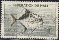 [Fish, type I]