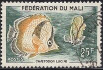 [Fish, type J]
