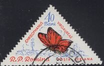 [Butterflies & Moths, type BTI]