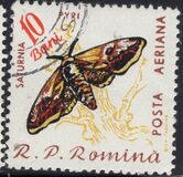 [Butterflies & Moths, type BTG]