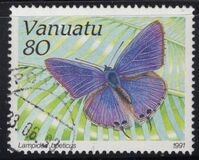 [Butterflies, Scrivi JU]