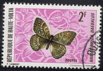 [Butterflies, タイプ IZ]