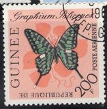 [Butterflies, տեսակ BM2]