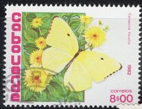 [Butterflies, type HG]