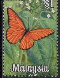 [Butterflies, tip AW]