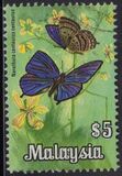 [Butterflies, tip AY]