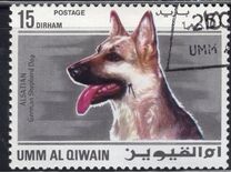 [Dogs, tegund HB]