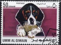 [Dogs, tegund HD]