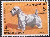 [Dogs, tegund HI]
