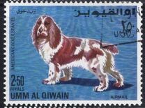 [Dogs, tegund HH]